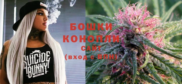 амф Ладушкин