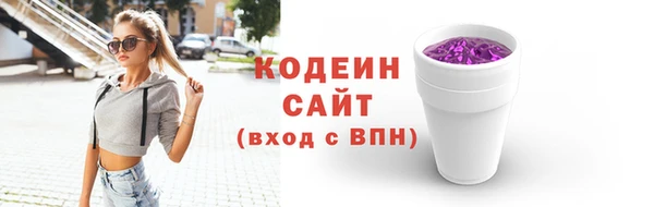 амф Ладушкин