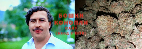 амф Ладушкин