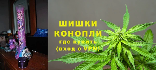 гидропоника Лагань