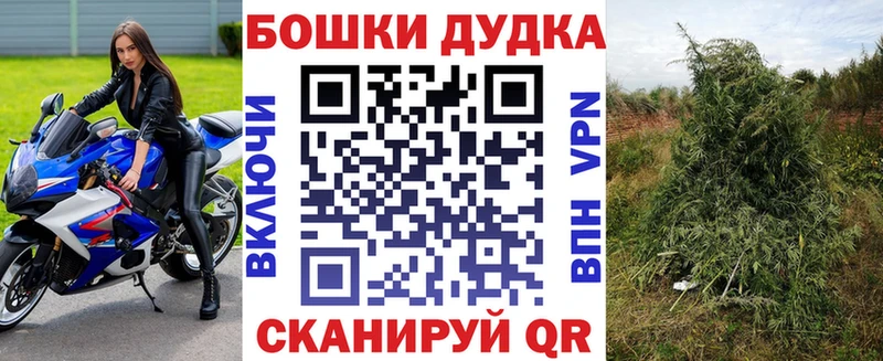 сколько стоит  Реж  мега как войти  Шишки марихуана сатива 
